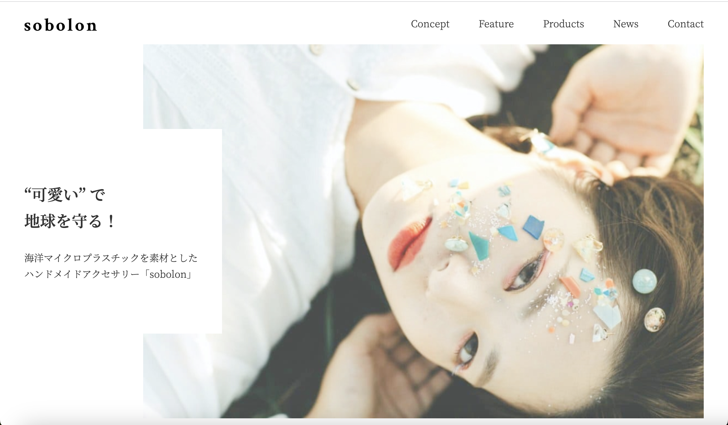 アクセサリーのLPの写真